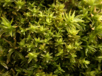 ������������ �����������