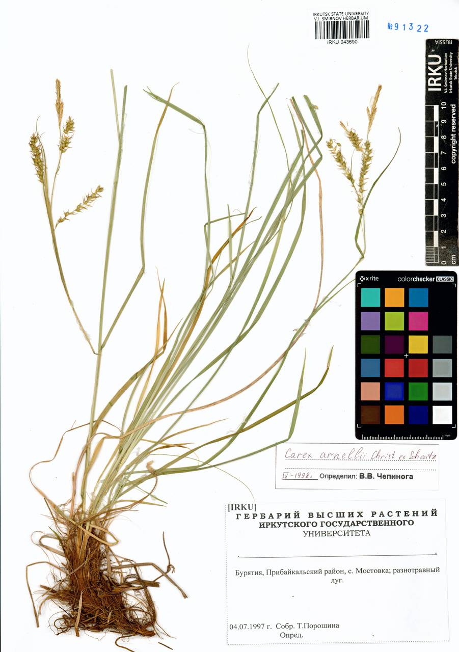 ����� �������