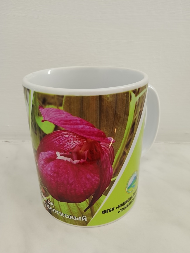 ������ ������� ����������, ������ ��������