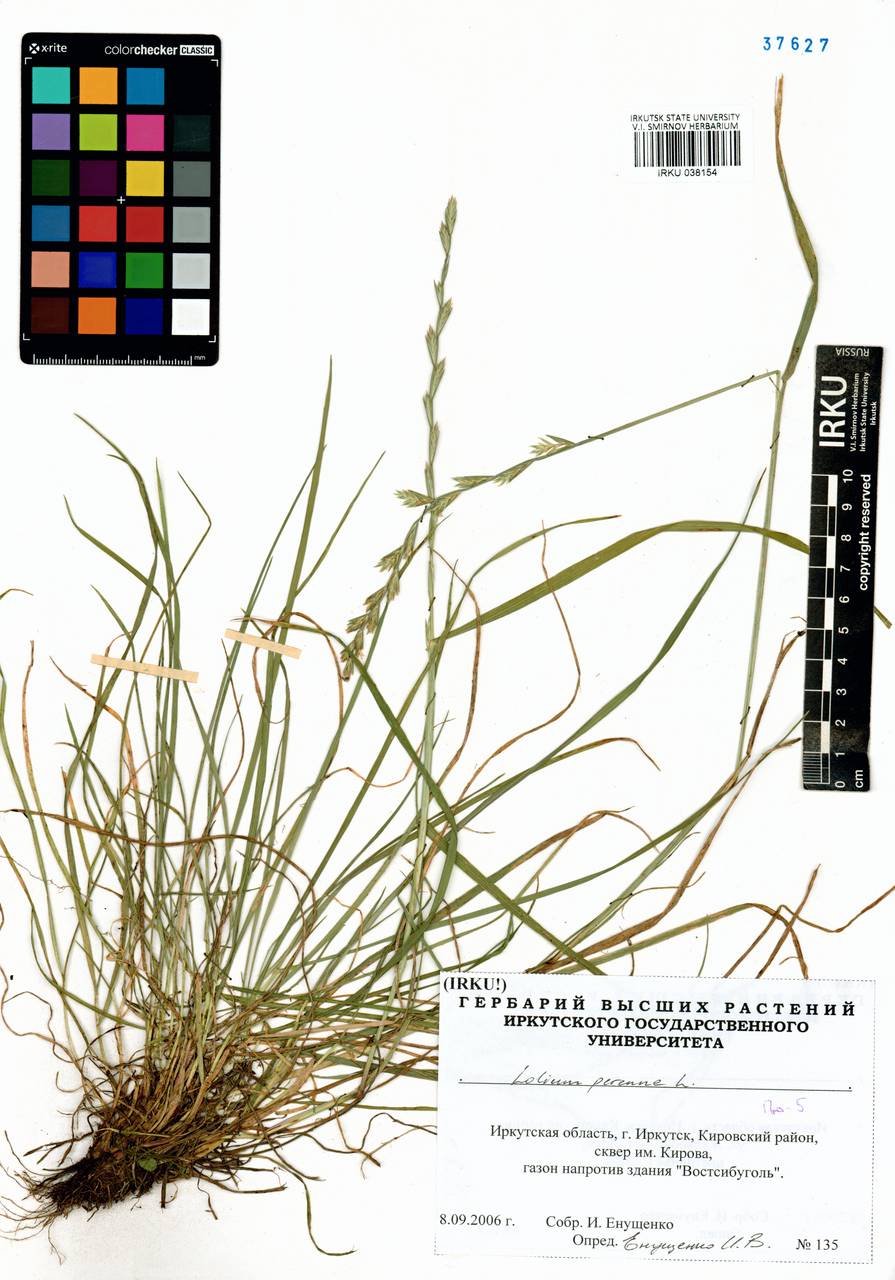 ������ �����������