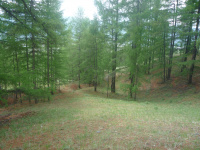 ����������� ���������