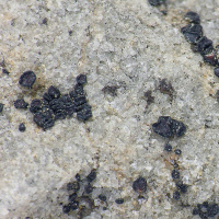 ����������� �������