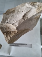 ��� ����������������� 