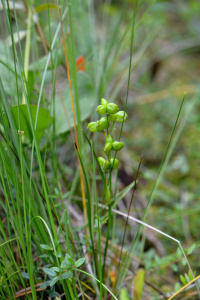 ��������� ��������