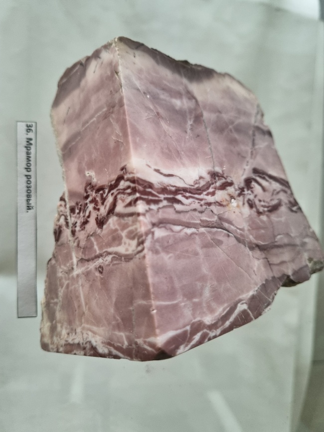 ������ (�������)