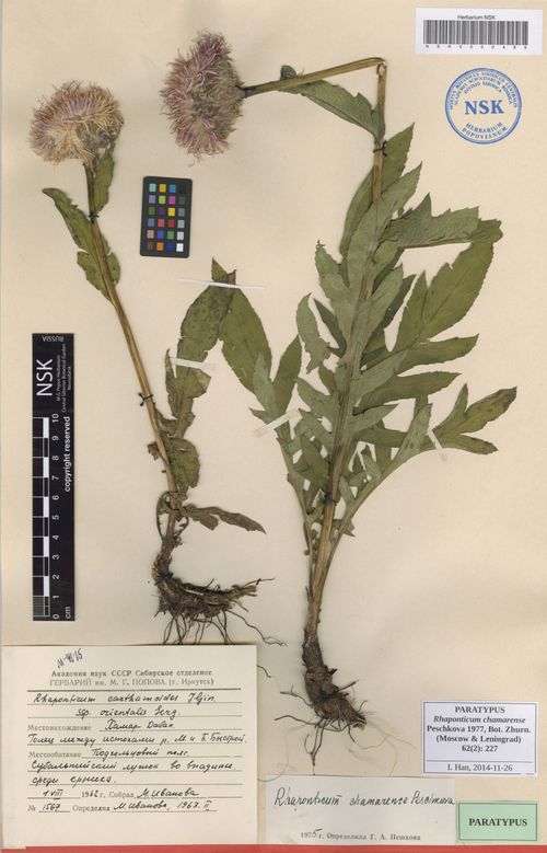 ���������� ���������