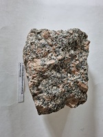 ������������� ������