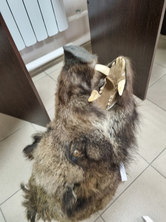 ������ ������ ������