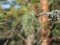 ����� ��������������, ����� ������, ����� �����������������