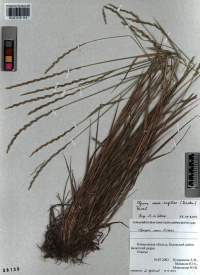 �������� ����-����������