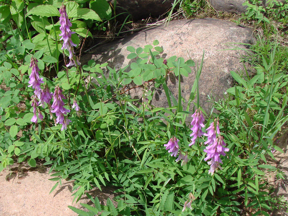 ��������� �����������