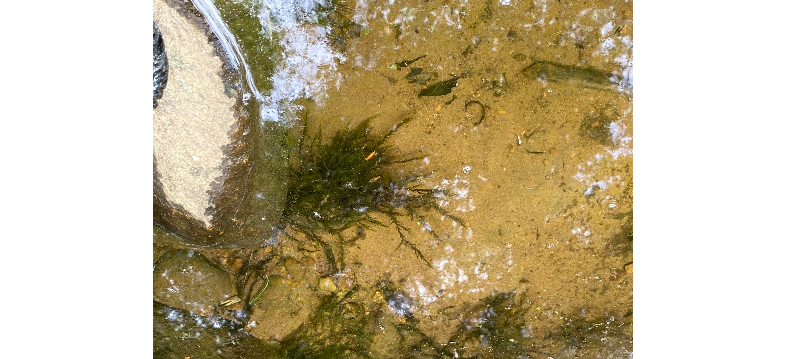 ���������� �����������