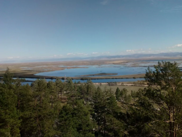 �������� ��������