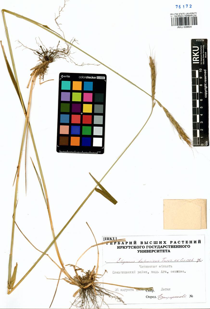 �������� ��������