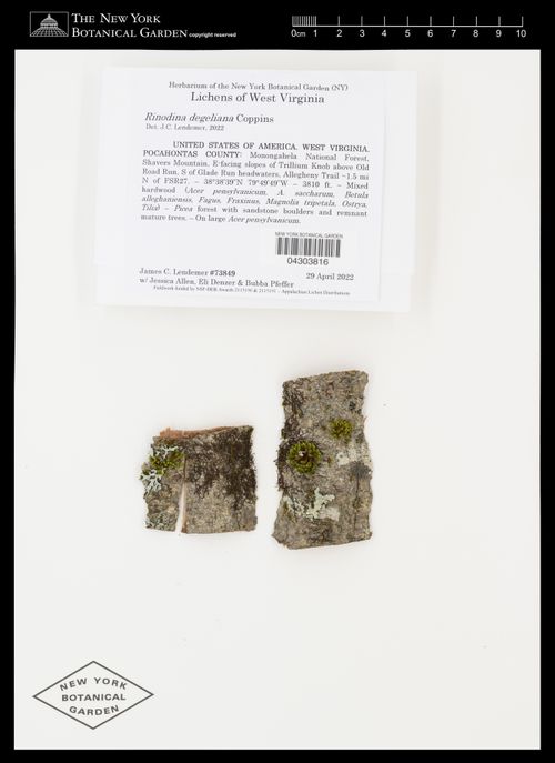 �������� ���������