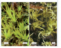 ������ ����������