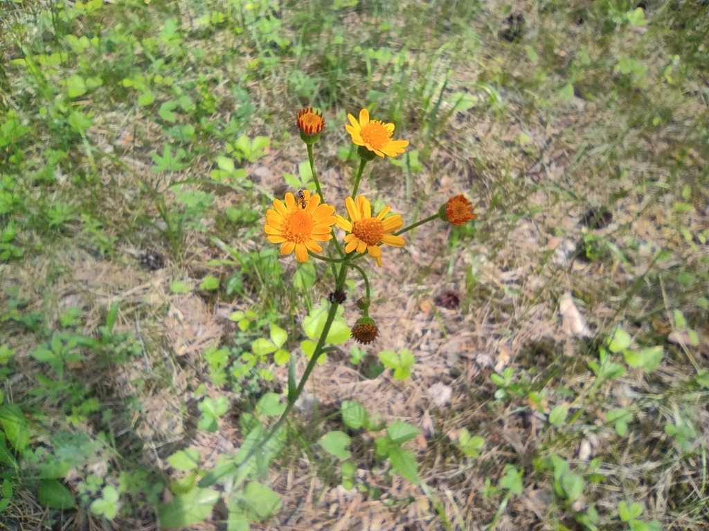 ��������� ����������