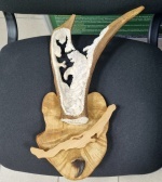 ���-������� � ������������  �������,  ����������� ����������� ����� ������ � ������ �������