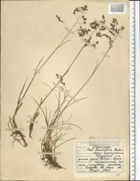 �������������� ��������