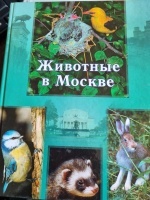 �������� � ������