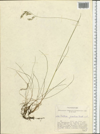 �������� ��������