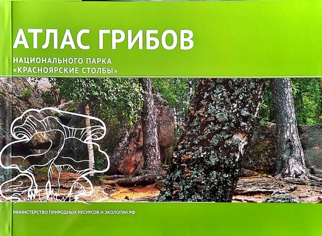 ����� ������ ������������� ����� "������������ ������"