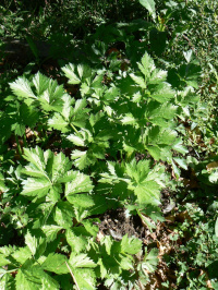 ��������� ��������