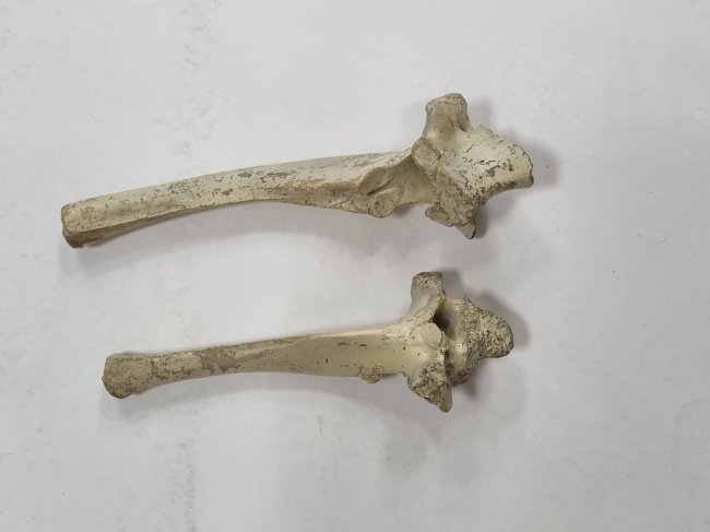 ��������� ����� ��������