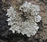 �������������� ����������, �������� ����������