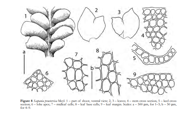 �������� ������������