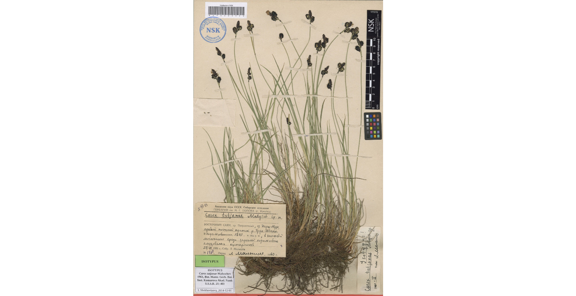 ����� �������