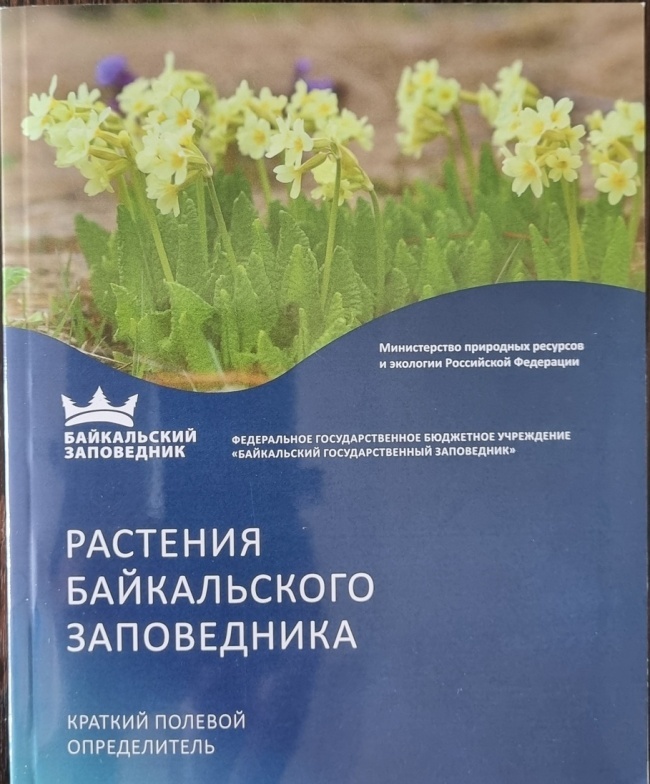 �������� ������������ �����������: ������� ������� ������������. ������ �.�.