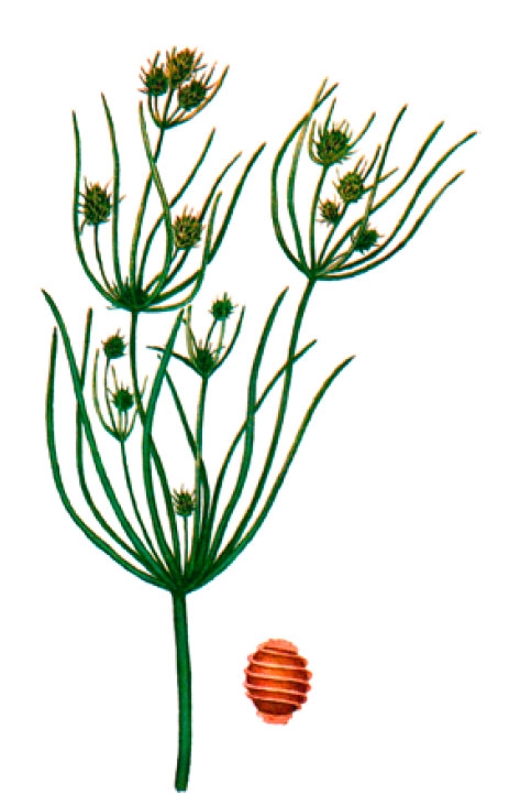 ��������� ���������������