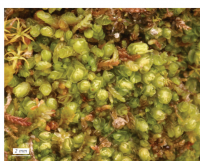 ������ ����������