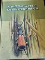 ������� �������������� �������� ��������� ����