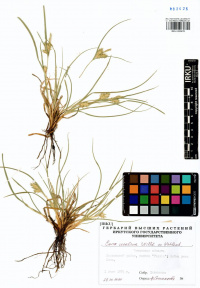 ����� �������������