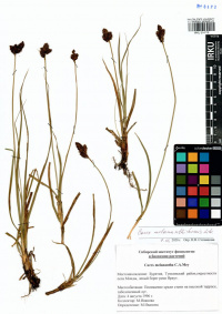 ����� �������������������