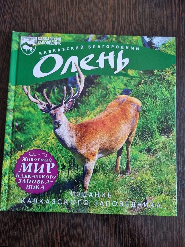 ���������� ����������� �����