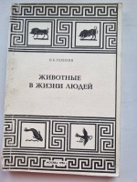 �������� � ����� �����. ������� �.�.