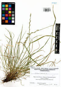 ������ �����������