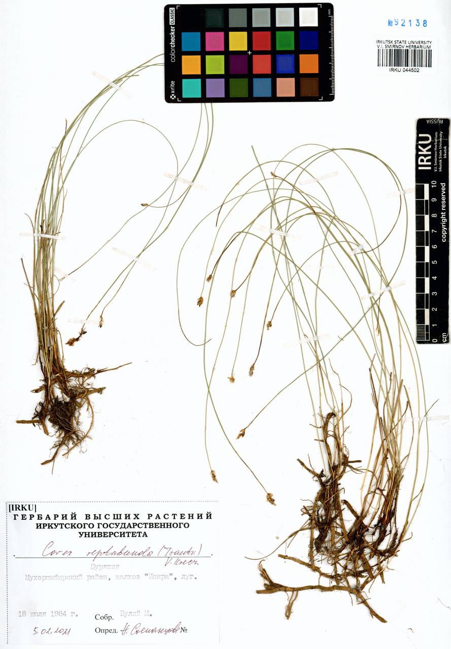 ����� ��������