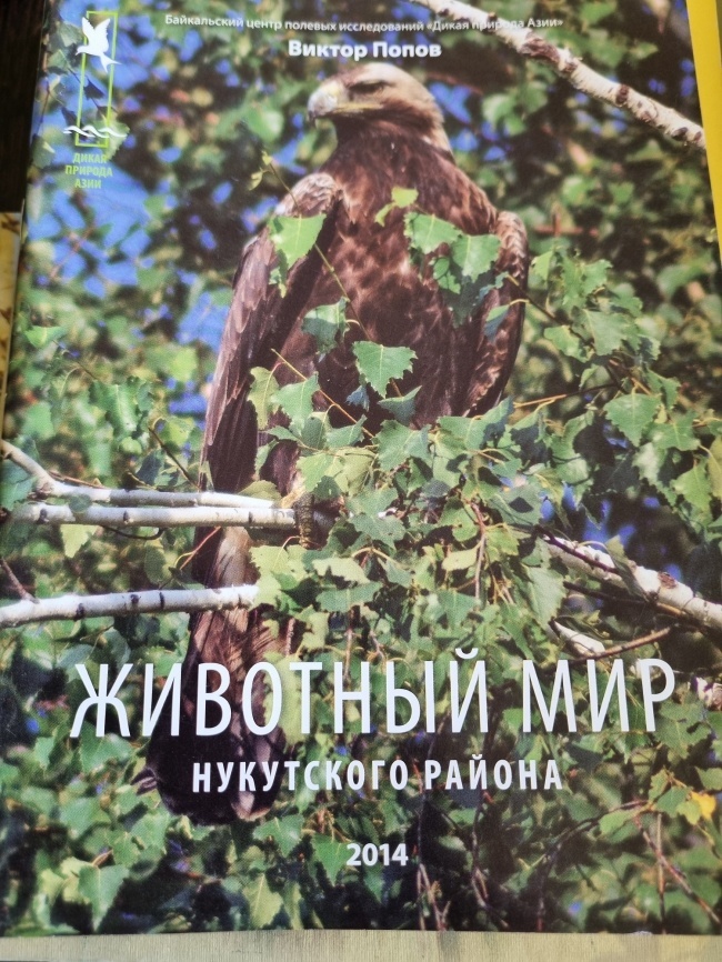 �������� ��� ���������� ������