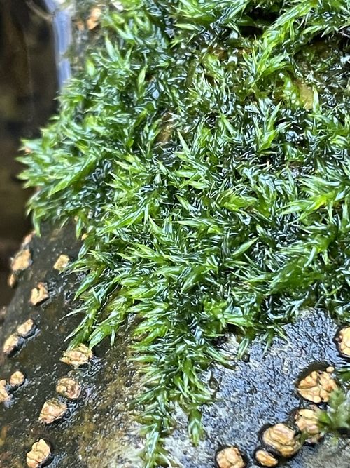 ������������ ���������