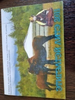 ��������� ���� 2011