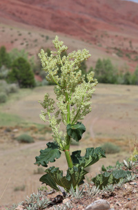 ������ ��������������