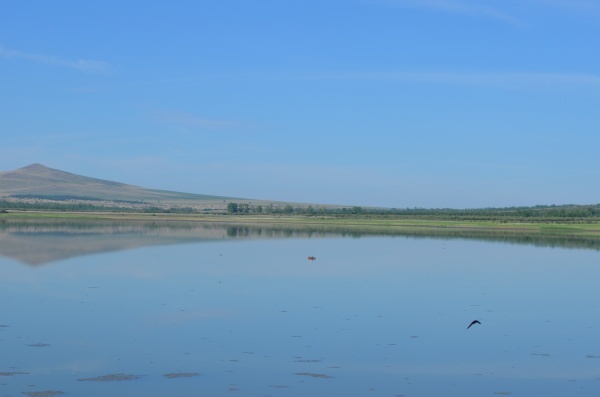 ����� �����