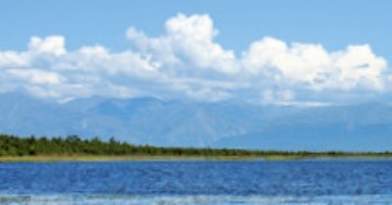 ����� ������� ���������