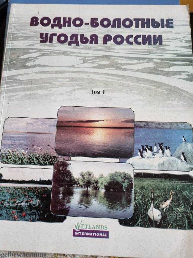 �����-�������� ������ ��� 1