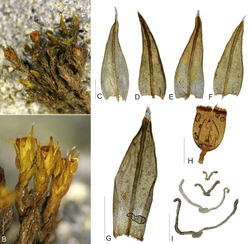 ���������� �������