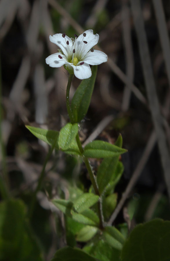 ��������������� ��������